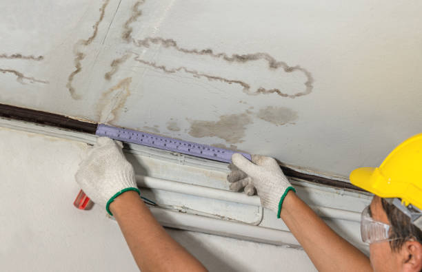 Reliable Burst Pipe Cleanup contractor in Lebanon, IL by Local Water Damage Repair